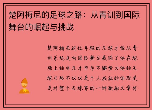 楚阿梅尼的足球之路：从青训到国际舞台的崛起与挑战