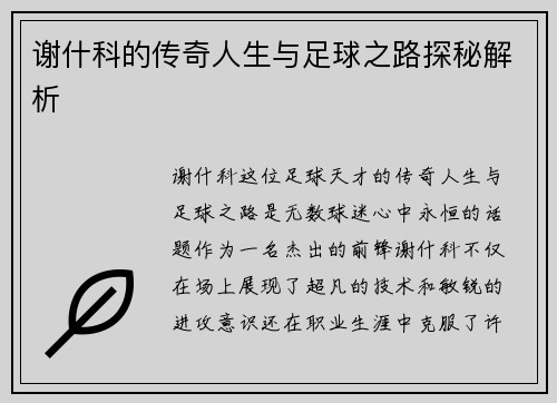 谢什科的传奇人生与足球之路探秘解析