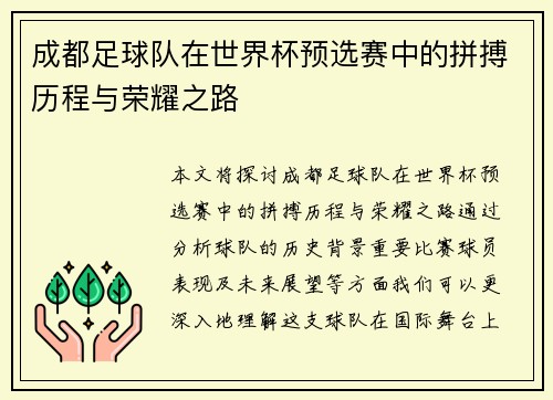 成都足球队在世界杯预选赛中的拼搏历程与荣耀之路